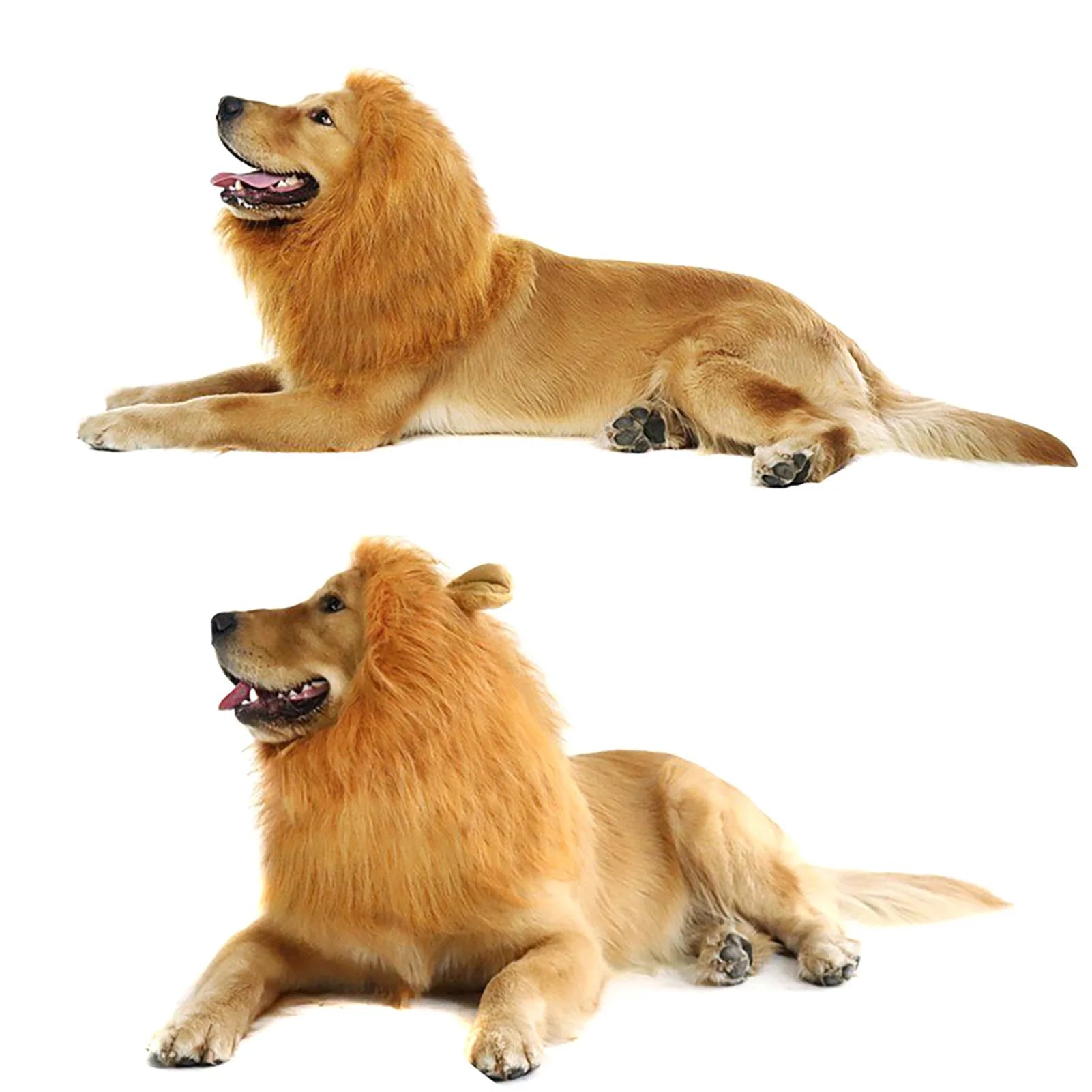 Funny pet costume for cats and dogs featuring a lion mane for playful pets