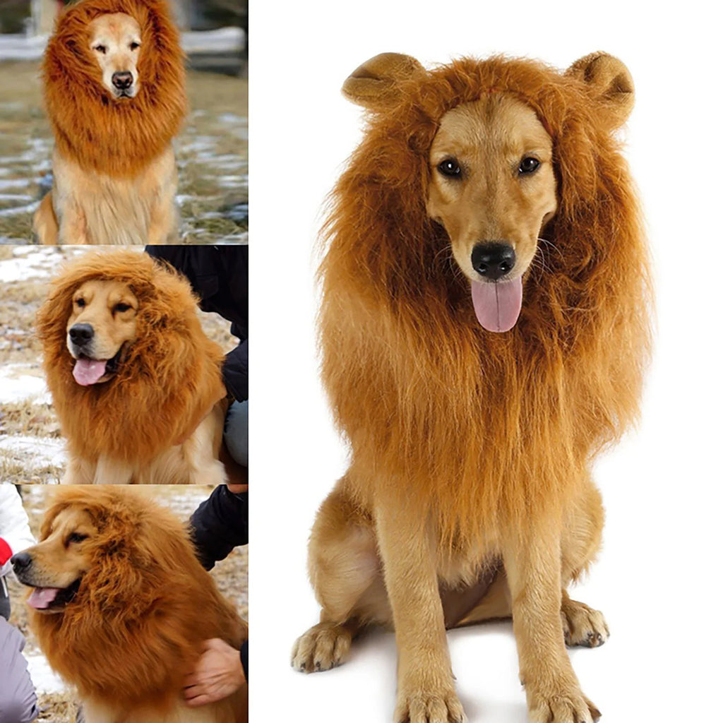 Funny pet costume for cats and dogs featuring a lion mane for a playful look