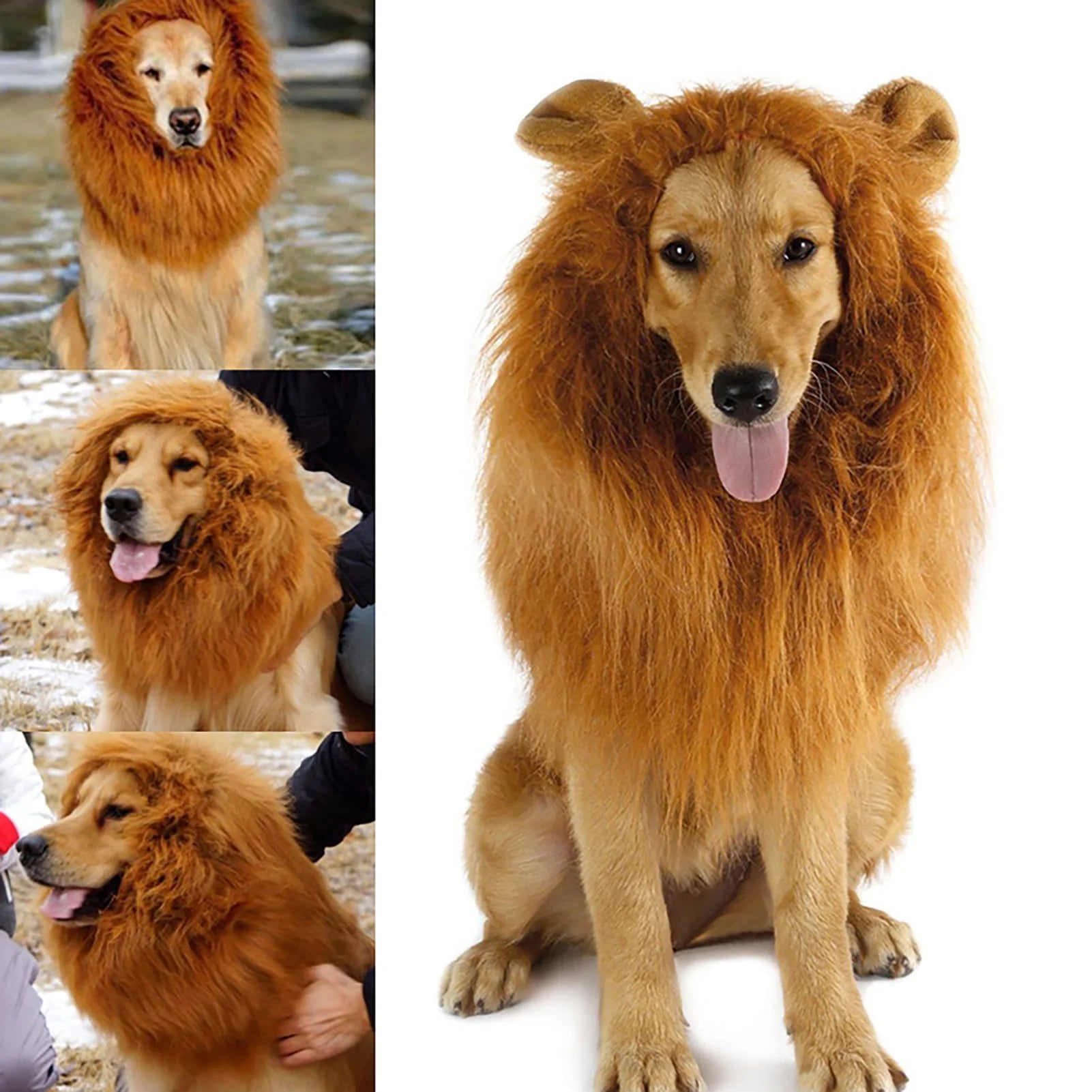Funny pet costume for cats and dogs featuring a lion mane for a playful look