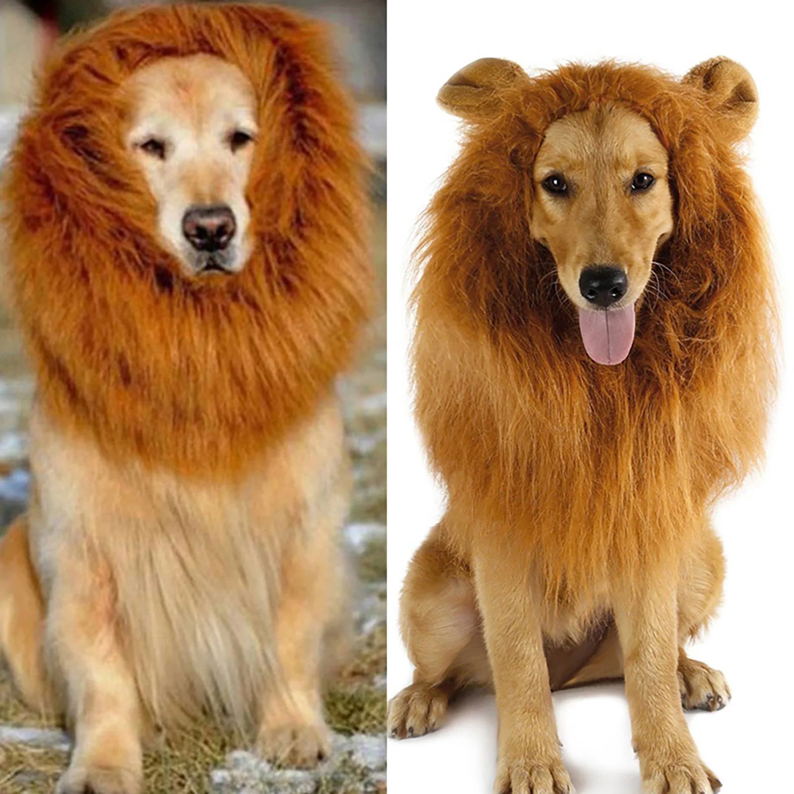 Funny pet costume for cats and dogs featuring a lion mane for playful pet transformation