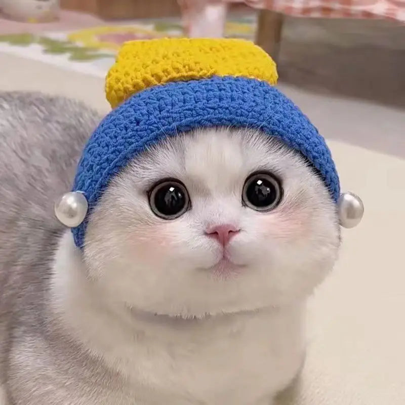 Cute gray cat wearing a blue and yellow knitted hat, perfect for funny pet hats for cats and dogs