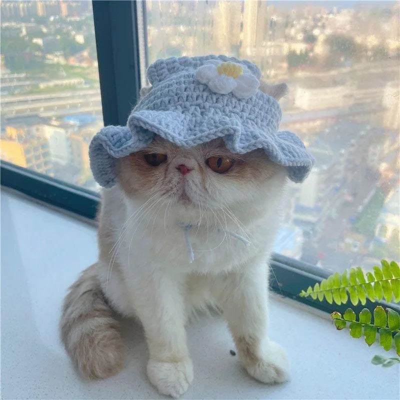 Adorable cat wearing a blue crochet hat with a flower, showcasing funny pet hats for cats and dogs