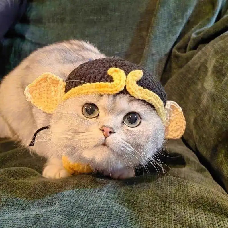 Cute cat wearing a monkey-themed funny pet hat from Zoomies & Co for cats and dogs