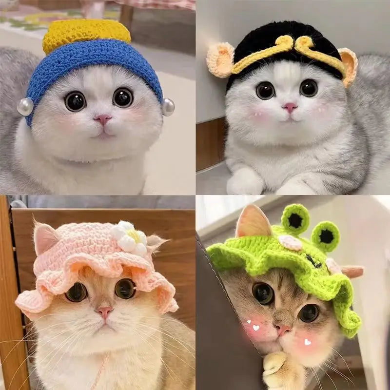 Cute and playful funny pet hats for cats and dogs in various styles and colors