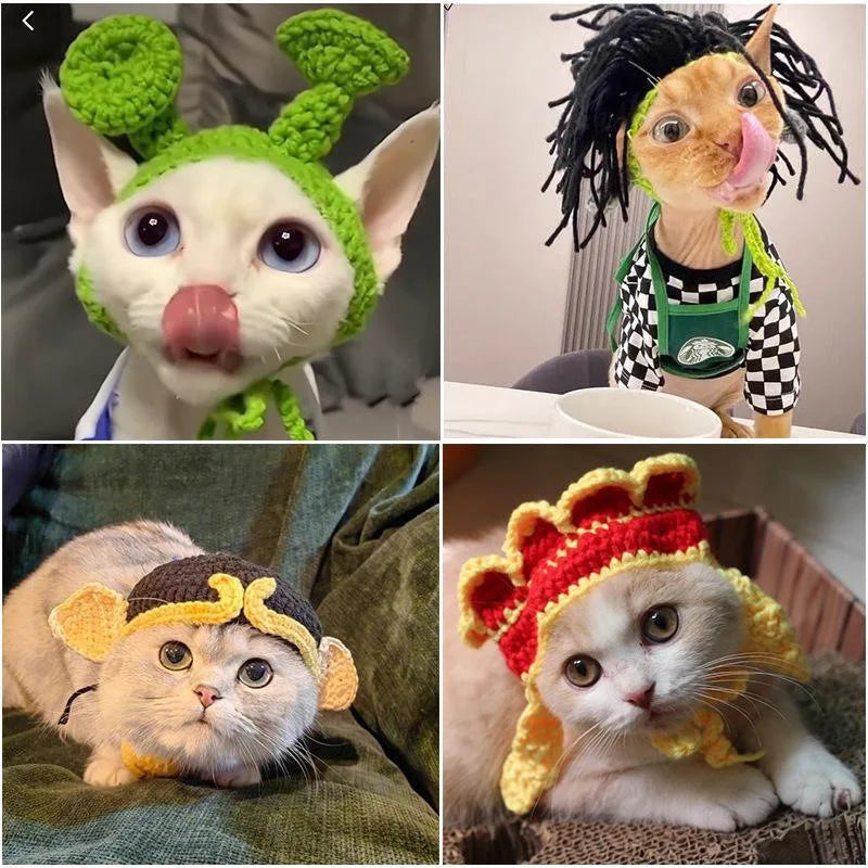 Cats and dogs wearing funny pet hats for cats and dogs in playful and unique styles