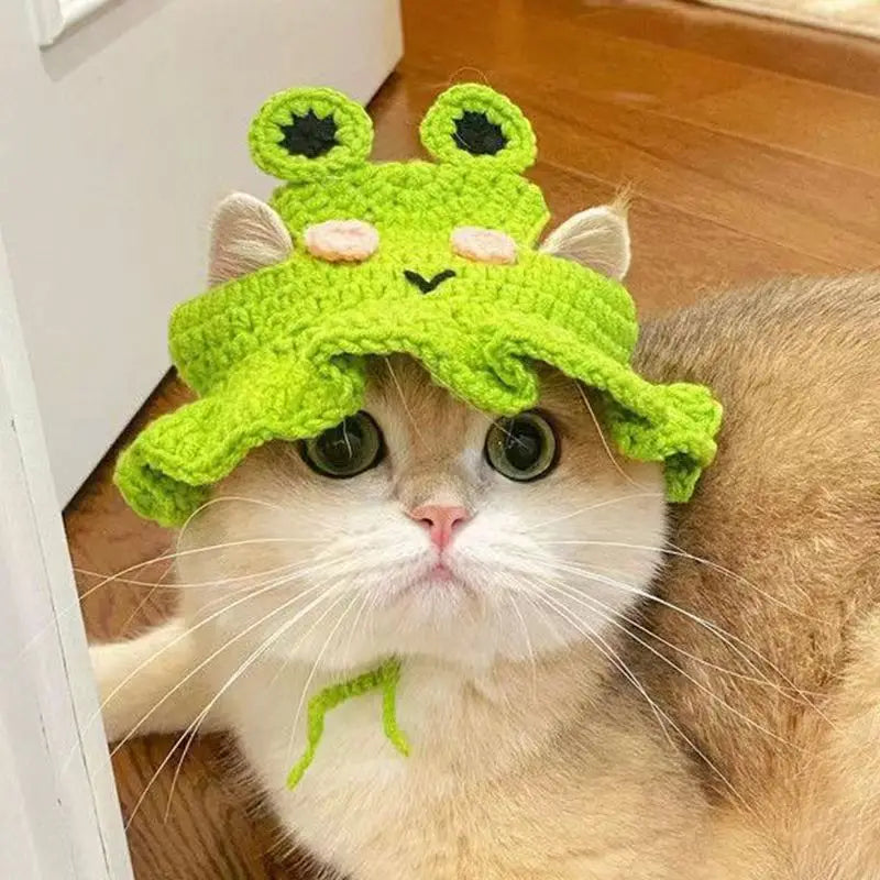 Adorable cat wearing a green frog hat, showcasing funny pet hats for cats and dogs
