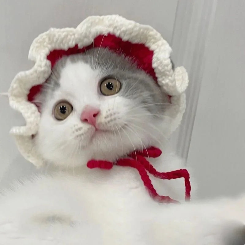 Cute cat wearing a crochet hat, showcasing funny pet hats for cats and dogs from Zoomies & Co