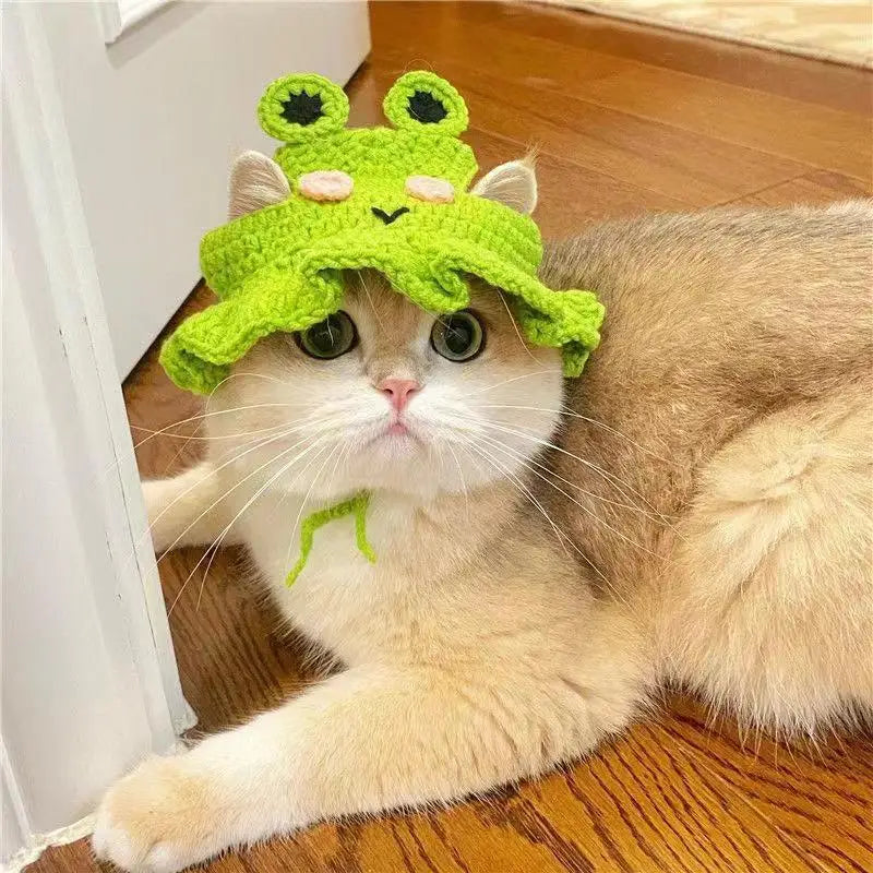 Cute cat wearing a green frog hat from Zoomies & Co, perfect as funny pet hats for cats and dogs
