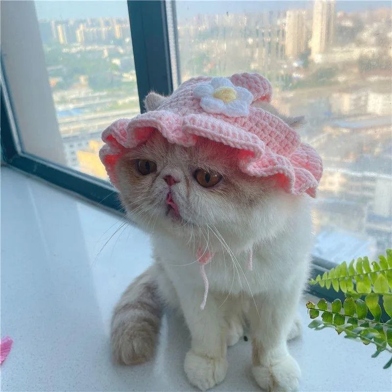 Cute cat wearing a pink knitted hat with a flower, perfect for funny pet hats for cats and dogs
