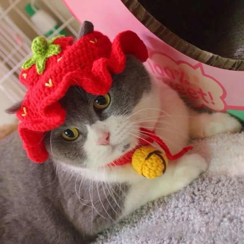 Cute grey cat wearing a red crocheted strawberry hat, showcasing funny pet hats for cats and dogs