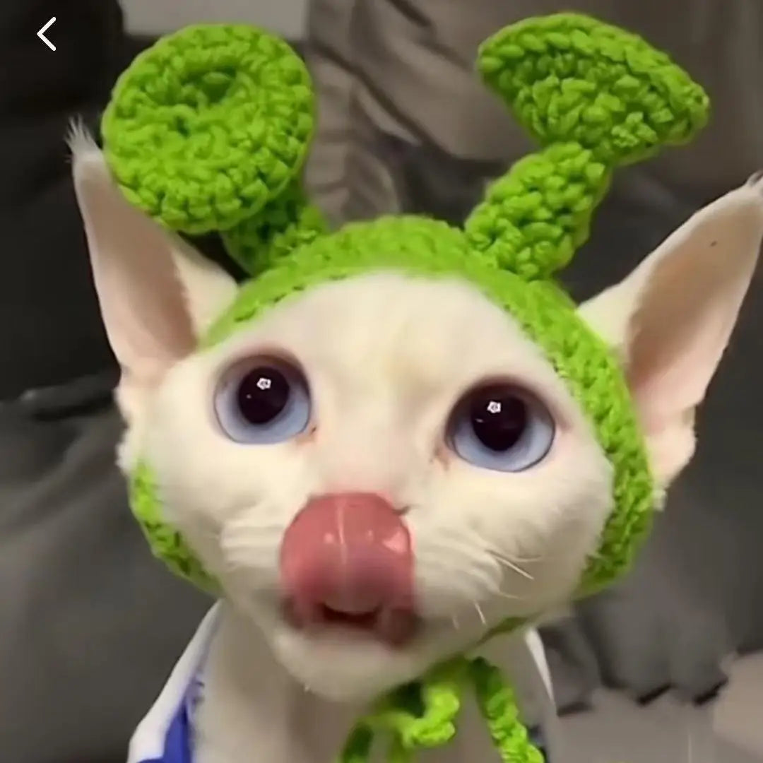 Funny pet hats for cats and dogs in vibrant green, designed for playful pets
