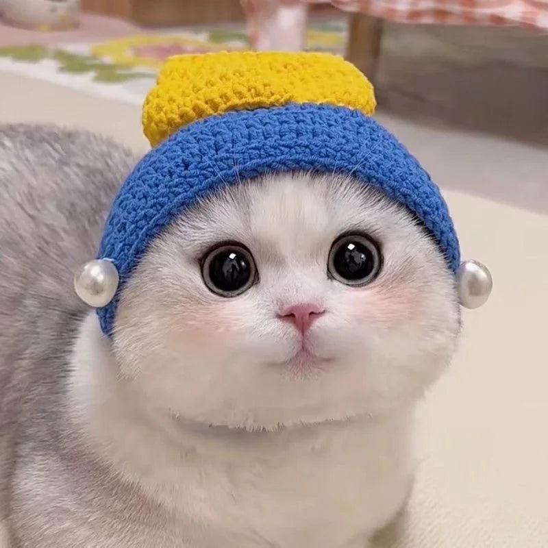 Cute white cat wearing a blue and yellow funny pet hat for cats and dogs with pearl accents
