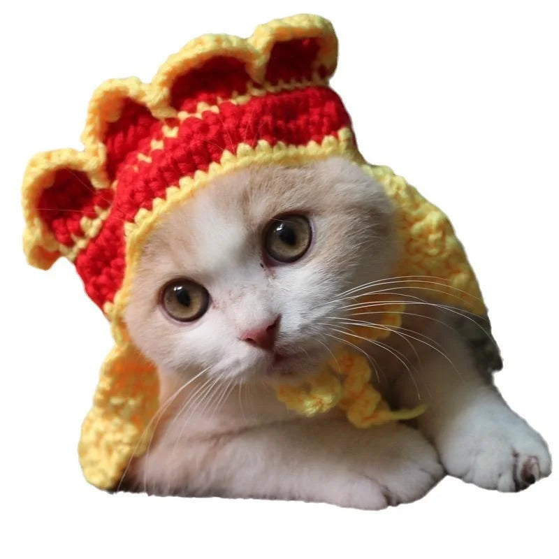 Adorable kitten wearing a colorful crochet hat from Zoomies & Co, perfect for funny pet hats for cats and dogs