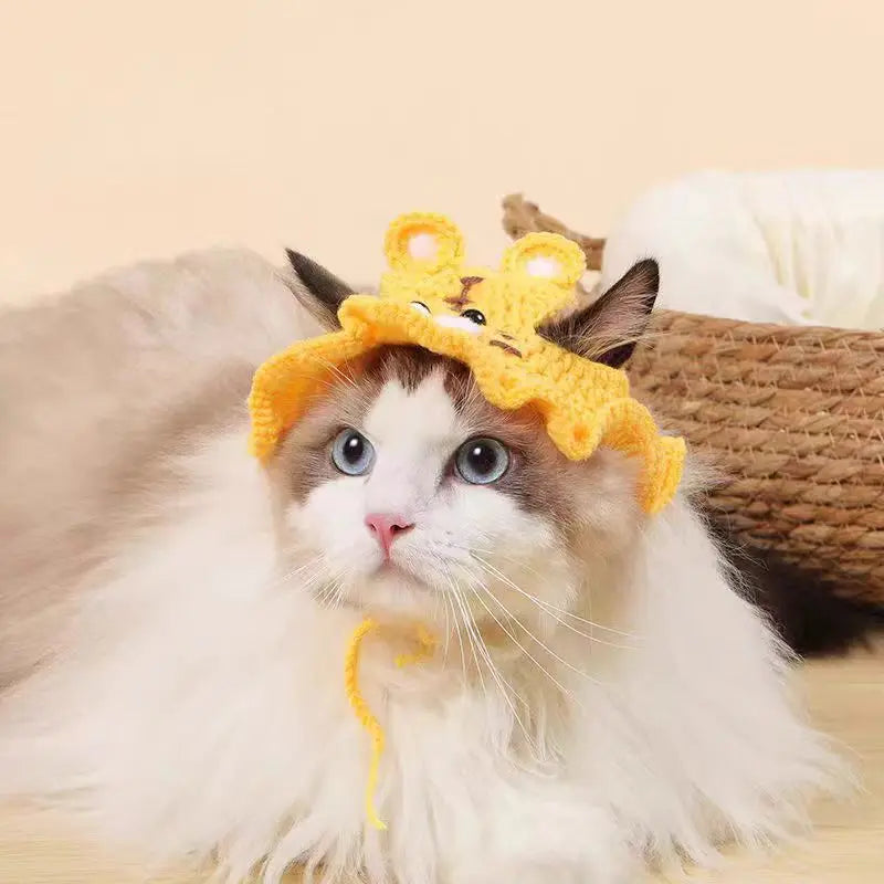 Adorable cat wearing a crochet yellow funny pet hat for cats and dogs with cute ears