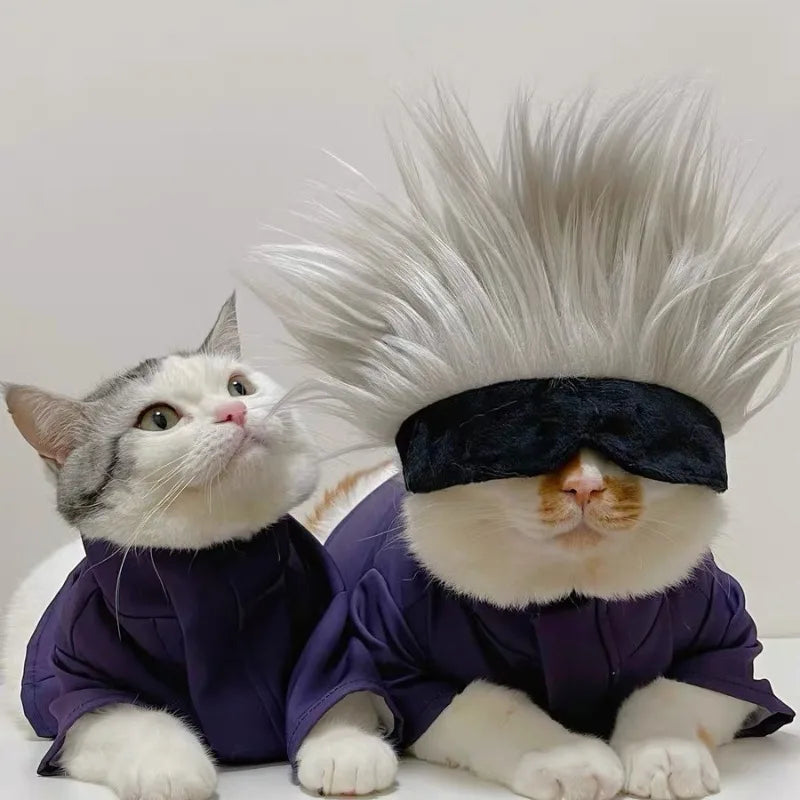 Cats in Gojo Satoru cat cosplay costume with stylish gray hair and black blindfolds