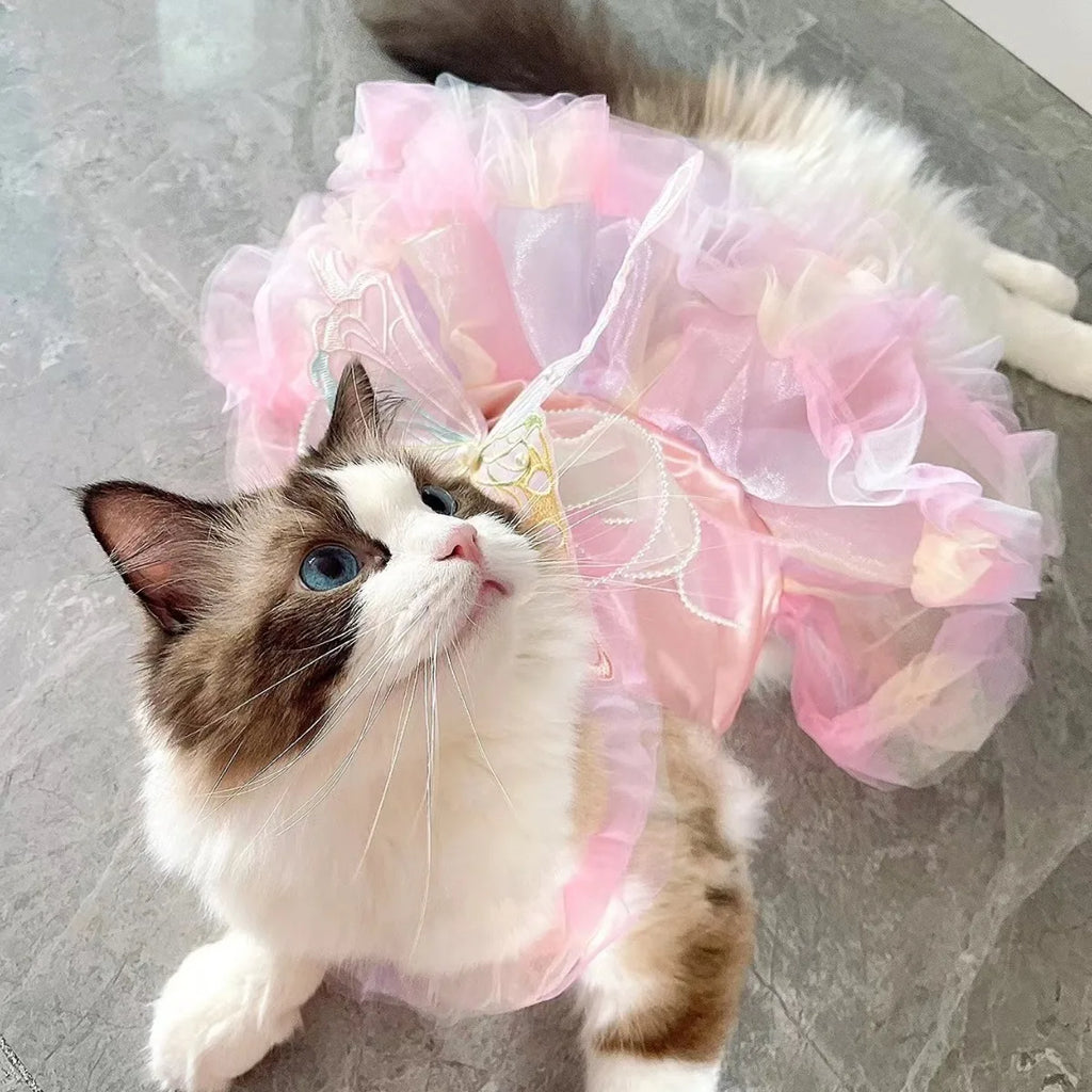 Adorable cat wearing a gorgeous puppy butterfly skirt in pastel colors for a cute pet outfit