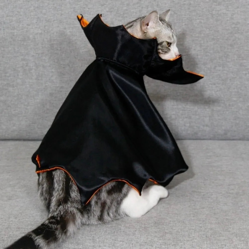 Adorable cat wearing a Halloween cat costume bat cloak with a stylish design and orange trim