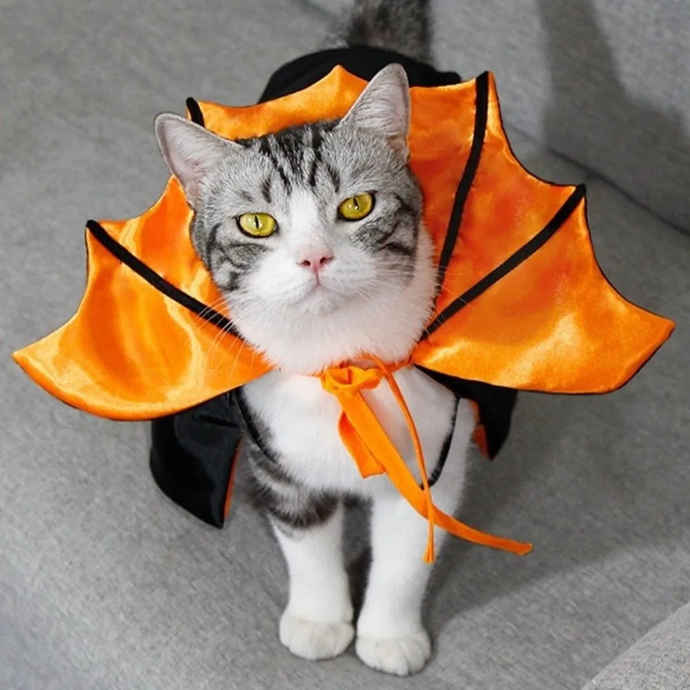 Halloween cat costume bat cloak in orange and black for stylish and festive feline dress-up