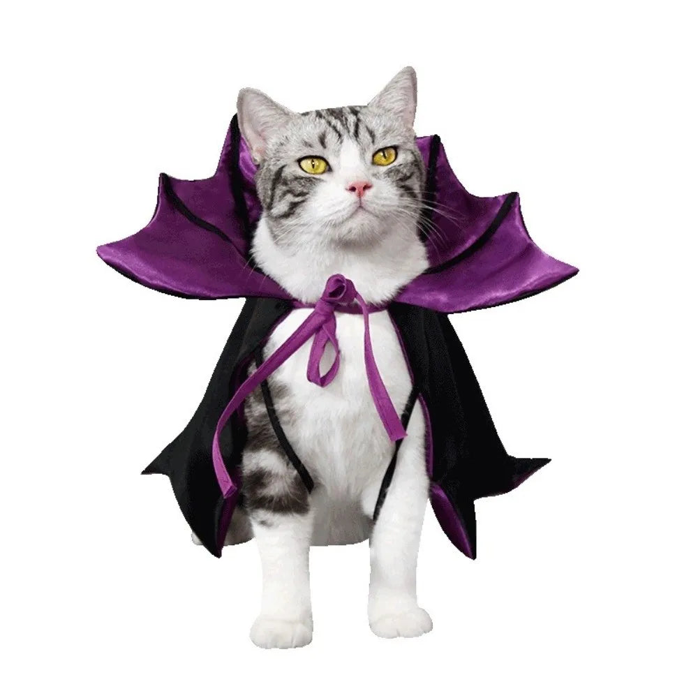 Halloween cat costume bat cloak featuring a black and purple design suitable for festive pet parties