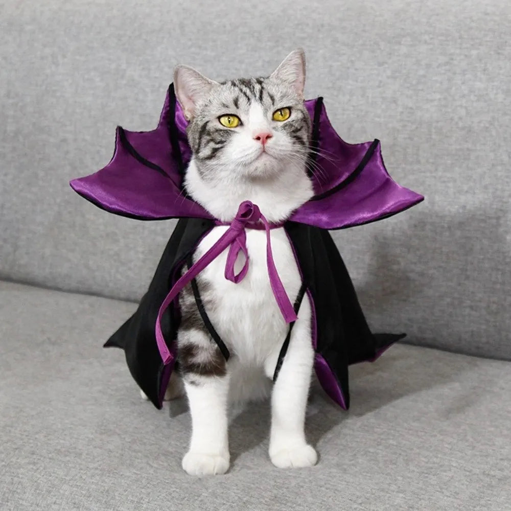 Halloween cat costume bat cloak in black and purple for stylish feline trick-or-treaters