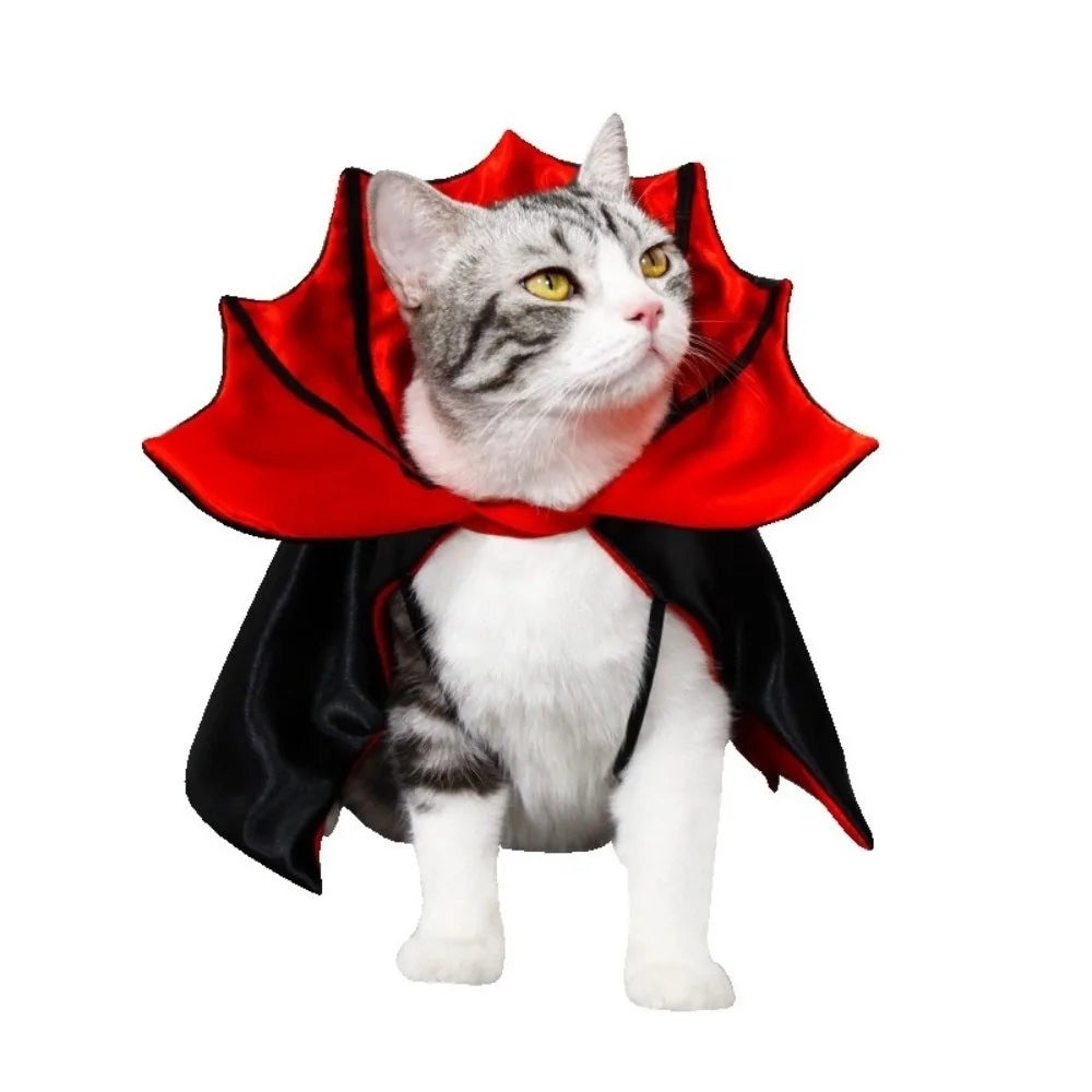 Halloween cat costume bat cloak with red and black design for festive feline fun