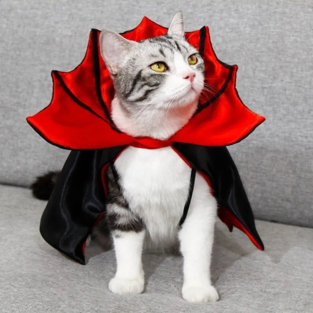 Halloween cat costume bat cloak in red and black for adorable feline dress-up