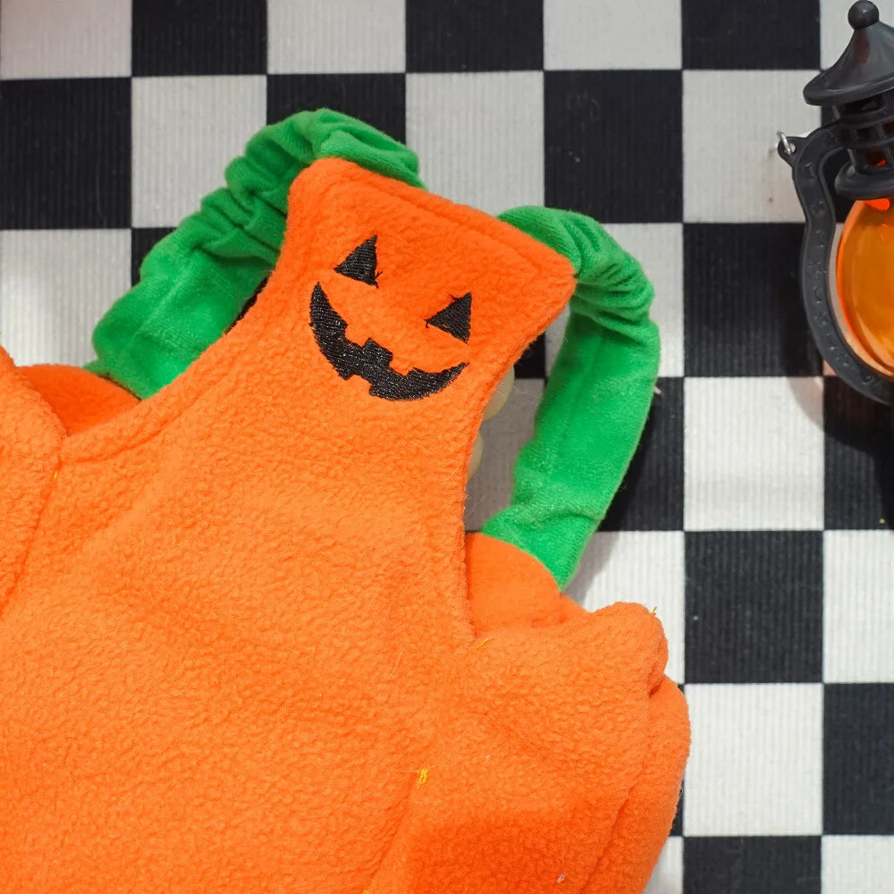 Cute orange pumpkin Halloween Christmas dog costume with green accents for festive pet celebrations