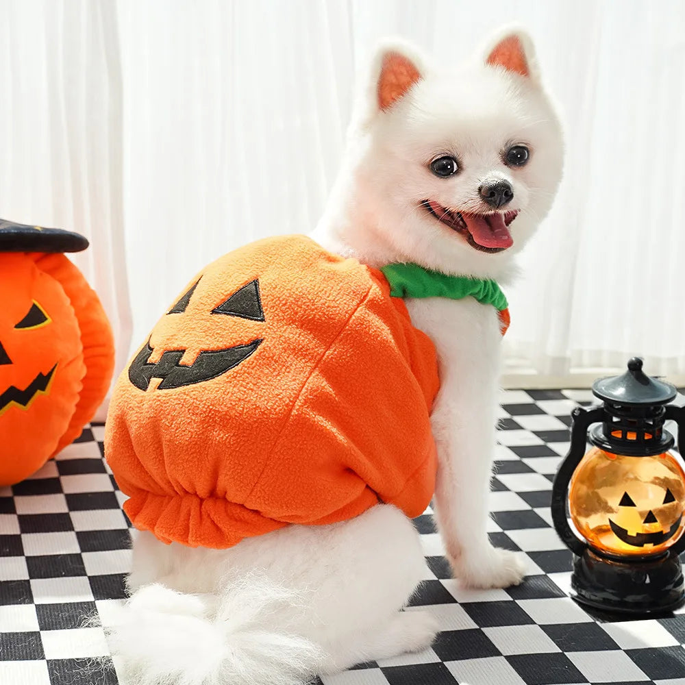 Adorable Halloween Christmas dog costume featuring a pumpkin design, perfect for festive celebrations