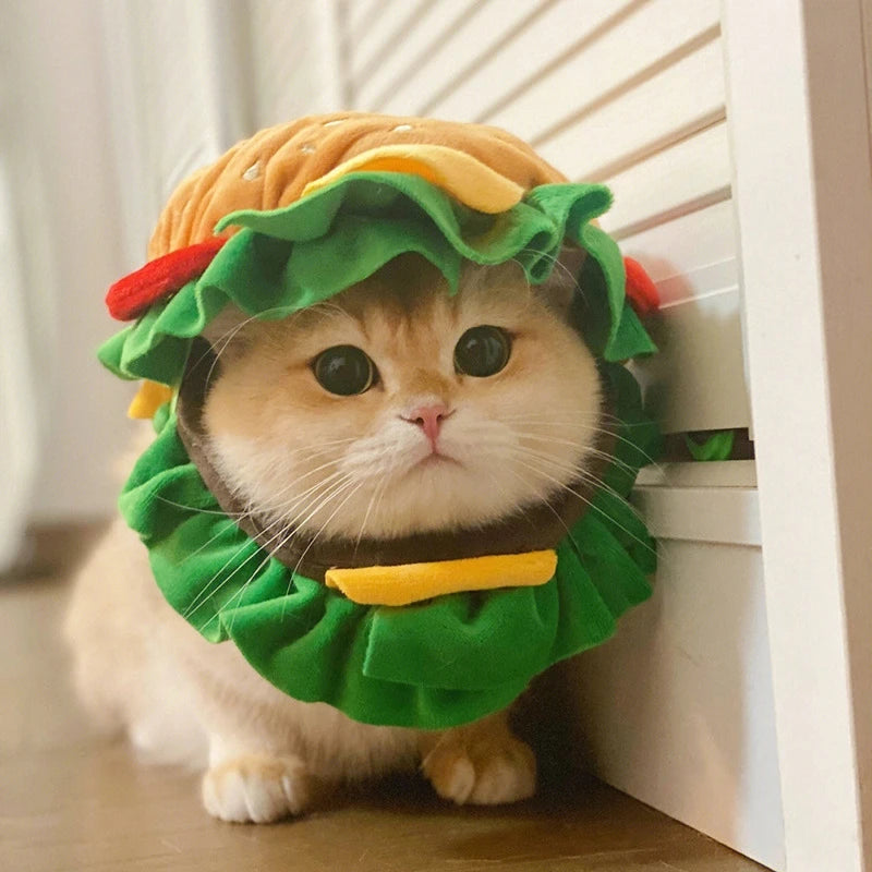 Cute cat wearing a Halloween dog burger costume with colorful lettuce and tomato details
