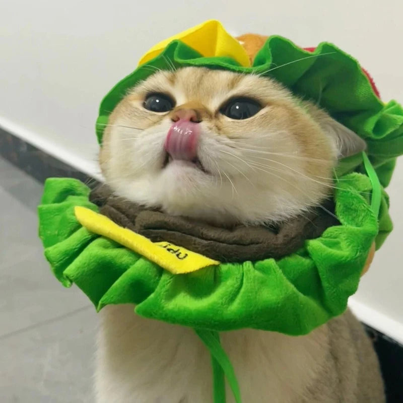 Adorable cat in a Halloween dog burger costume with colorful bun and lettuce detailing