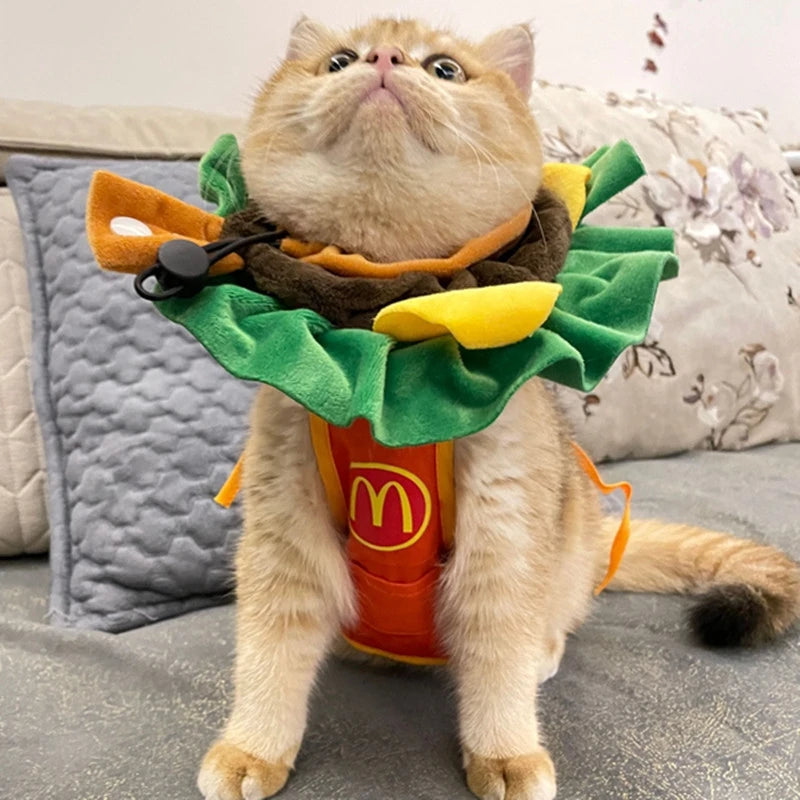 Adorable cat wearing a Halloween dog burger costume with colorful lettuce and burger details