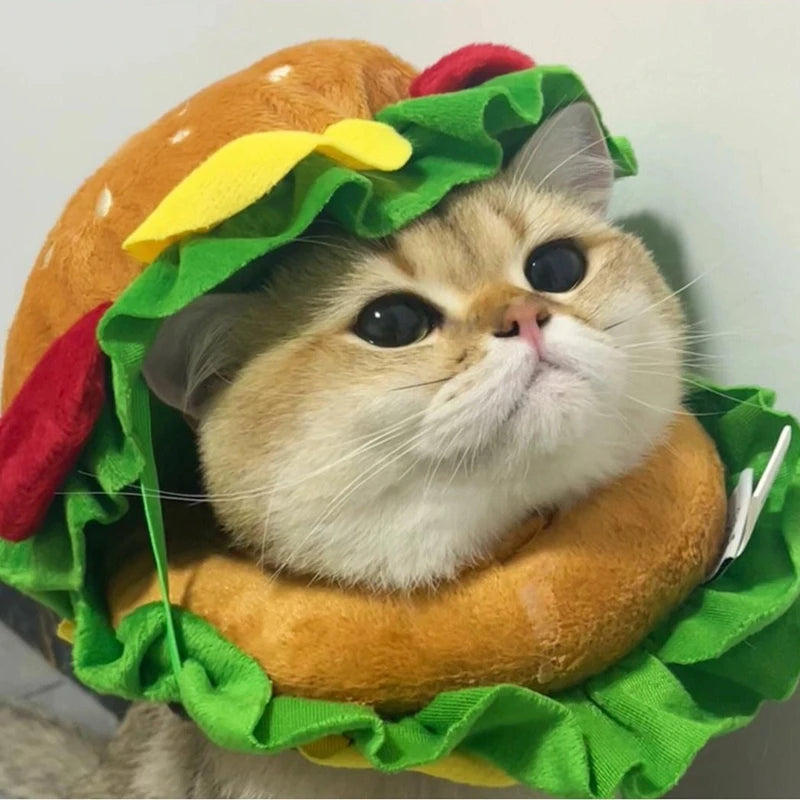 Adorable pet wearing a Halloween dog burger costume with bright colors and soft materials