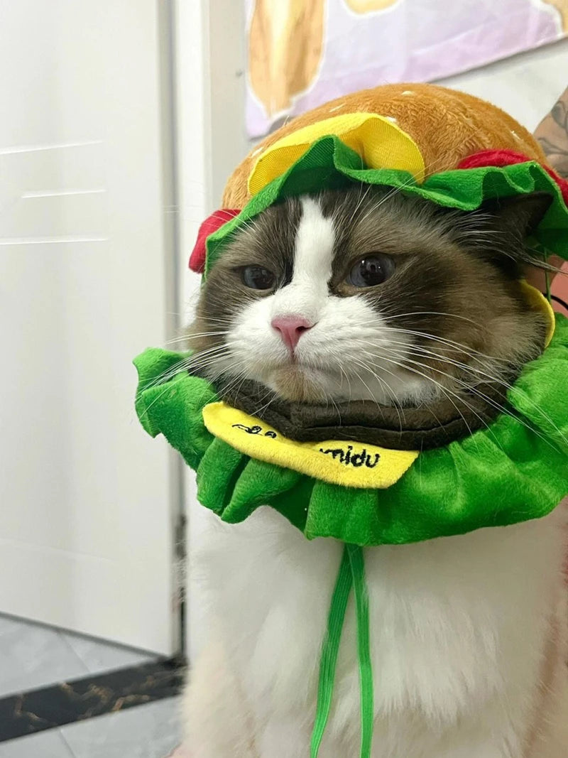 Adorable cat wearing a Halloween dog burger costume with colorful bun and green lettuce collar