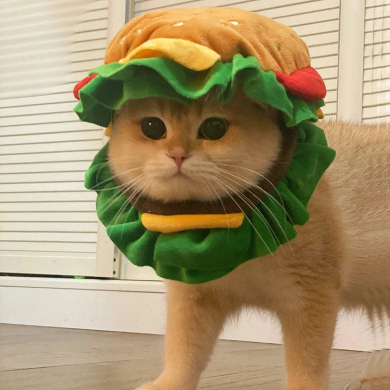 Adorable cat wearing a Halloween dog burger costume with colorful lettuce and tomato details