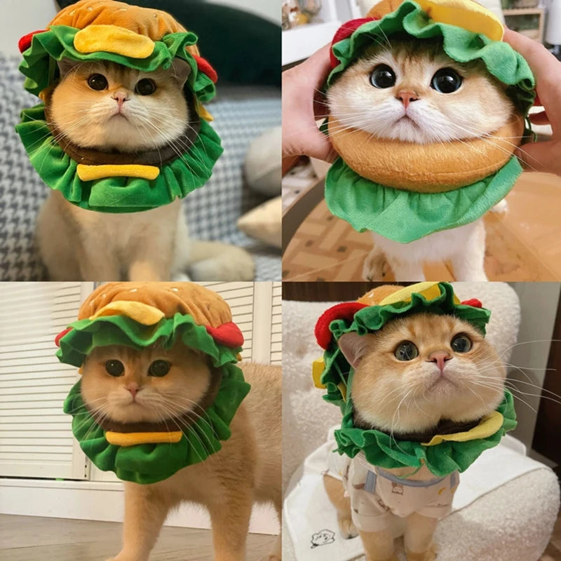 Adorable cat in a Halloween dog burger costume complete with lettuce and tomato details