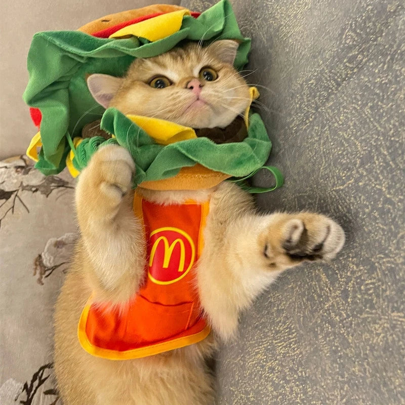 Cute cat wearing a Halloween dog burger costume with colorful toppings and an orange apron