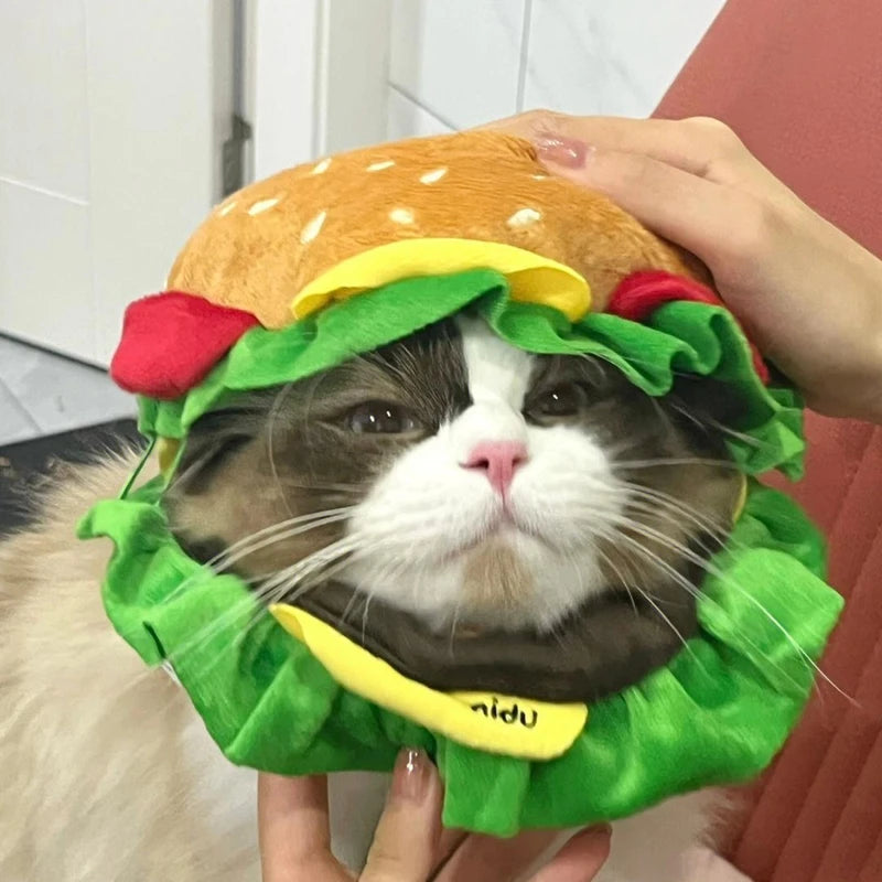 Adorable cat wearing a Halloween dog burger costume with lettuce and tomato details