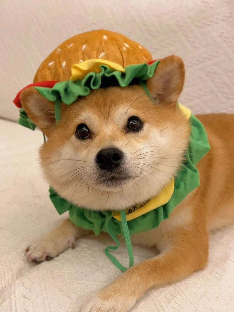 Cute dog wearing a Halloween dog burger costume with a colorful burger hat and green lettuce collar