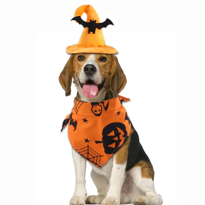 Beagle in a Halloween dog costume set featuring an orange bandana and a witch hat with a bat