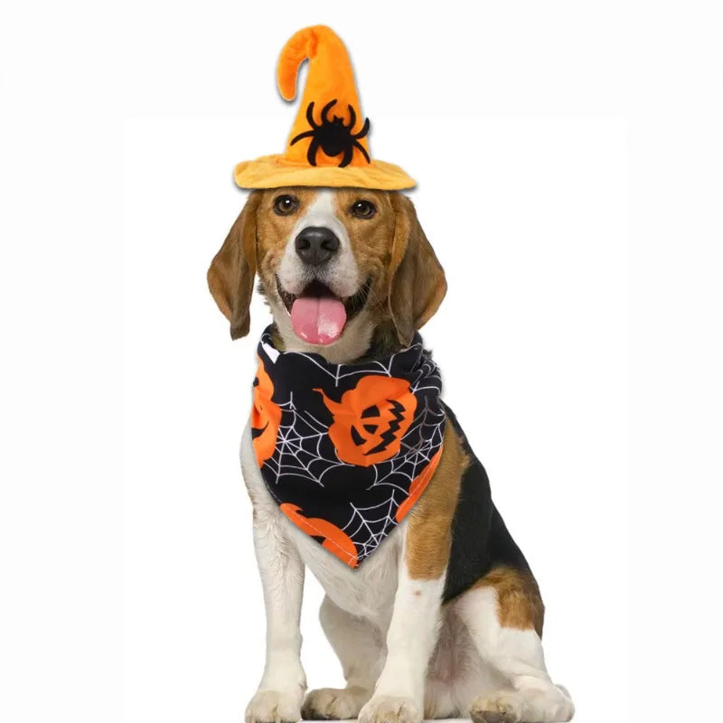 Halloween dog costume set featuring a witch hat and spider print bandana for festive pets