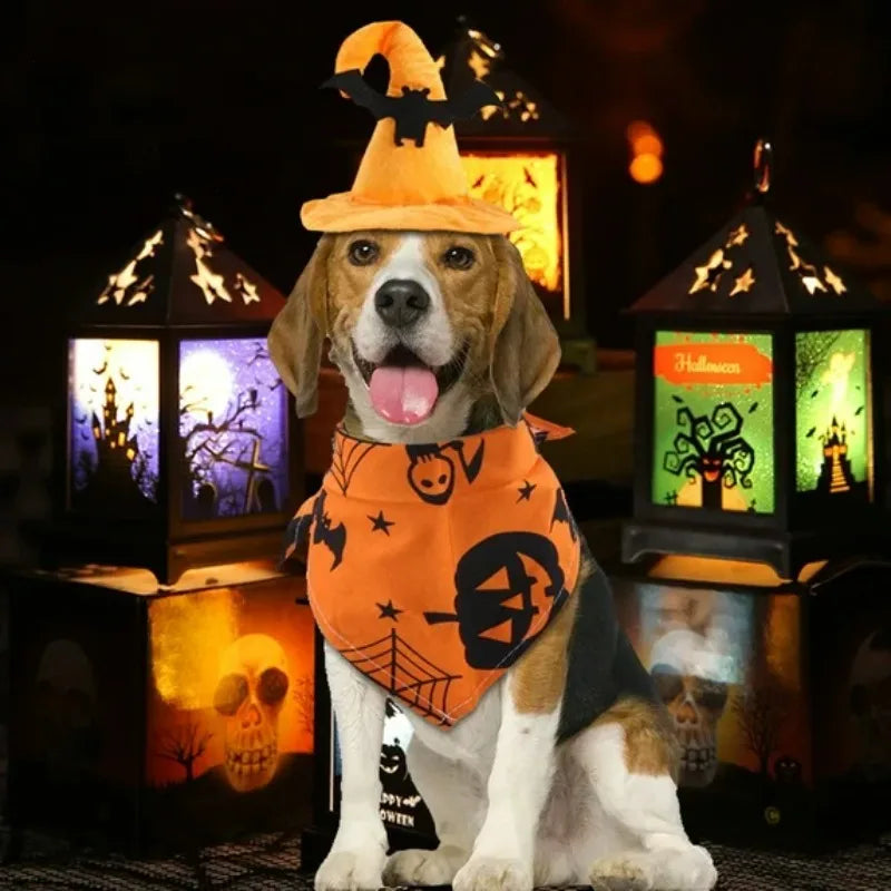 Beagle in a Halloween dog costume set featuring an orange bandana and witch hat among spooky decorations