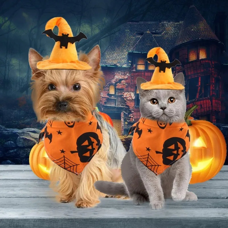 Halloween dog costume set featuring a small dog and cat in matching pumpkin bandanas and hats
