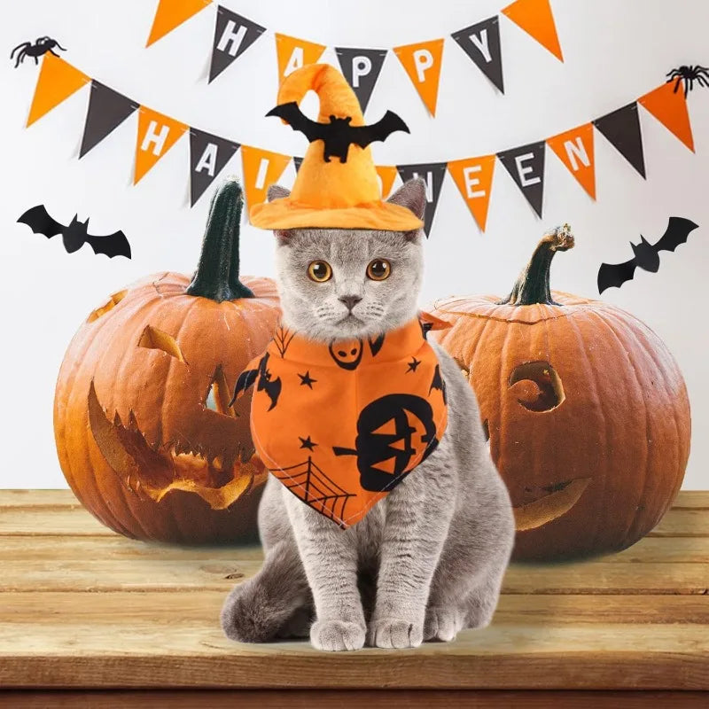 Adorable cat in a Halloween dog costume set with a witch hat and festive bandana among jack-o'-lanterns