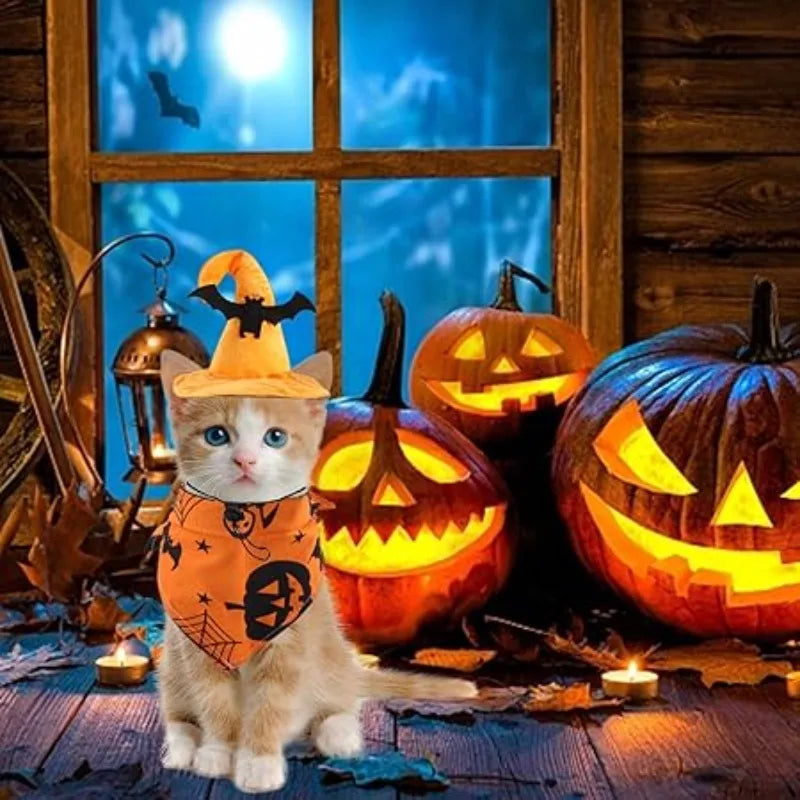 Adorable orange Halloween dog costume set with hat, perfect for festive pet celebrations