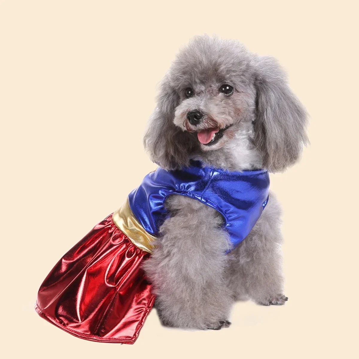Adorable Halloween dog costume featuring a fluffy dog in a princess dress with blue and red colors