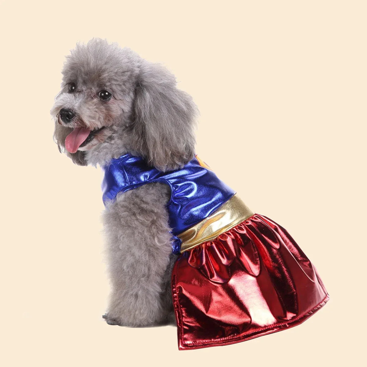 Cute dog wearing a Halloween dog costume featuring a colorful princess dress design