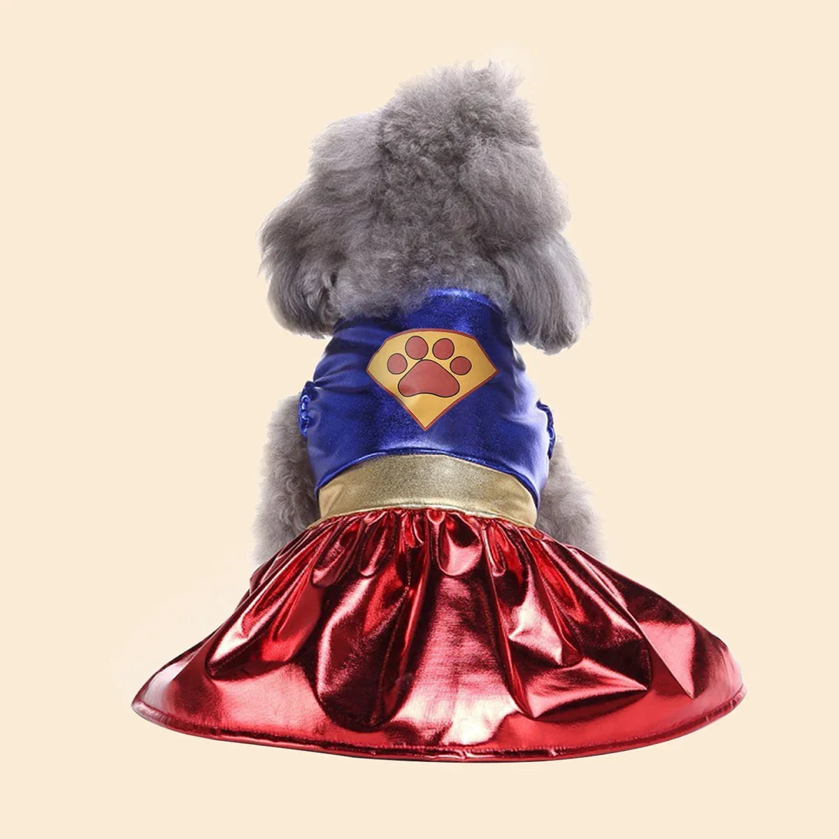 Cute Halloween dog costume featuring a blue and red superhero outfit for small dogs