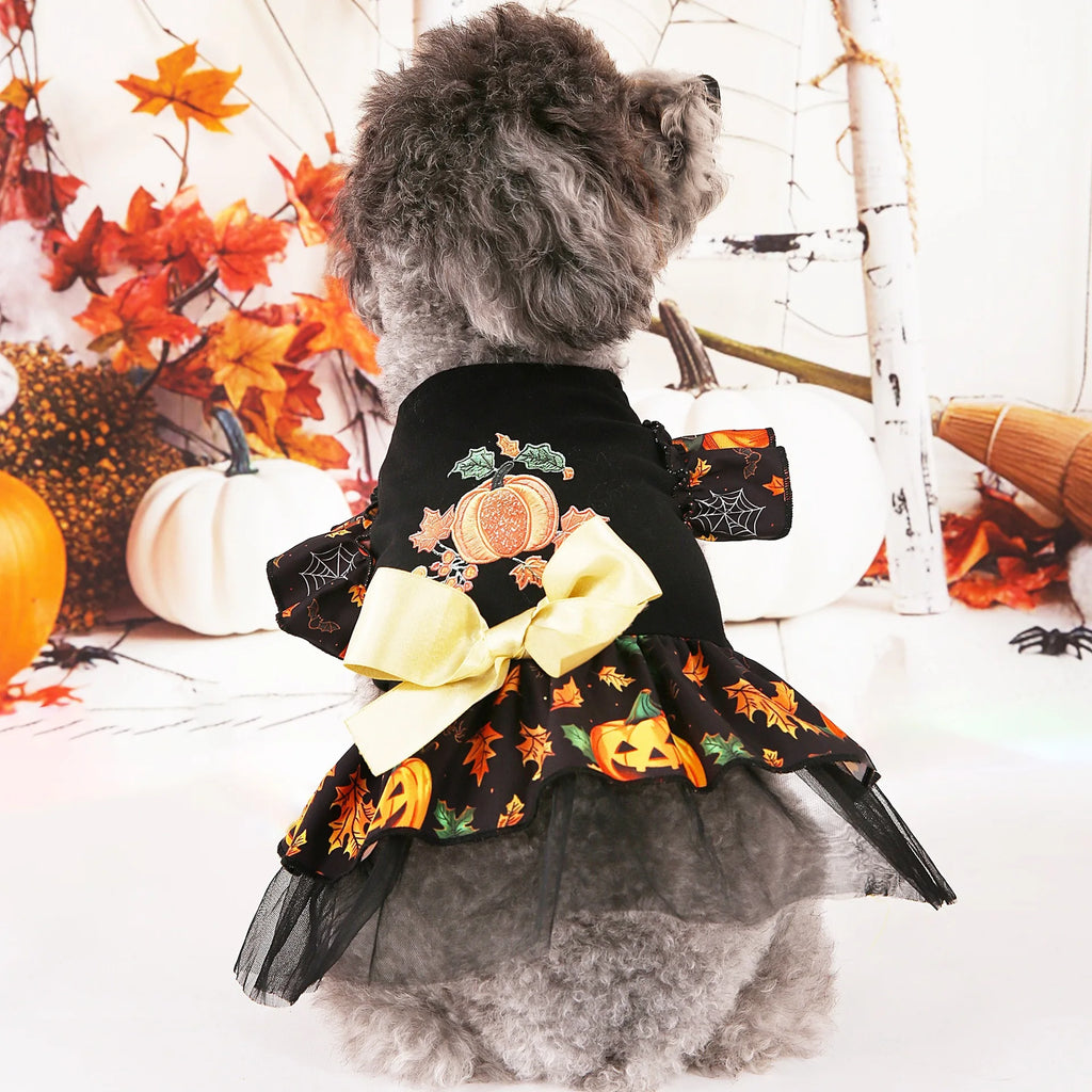 Adorable Halloween dog costumes featuring a black dress with pumpkins and a bow for festive celebrations