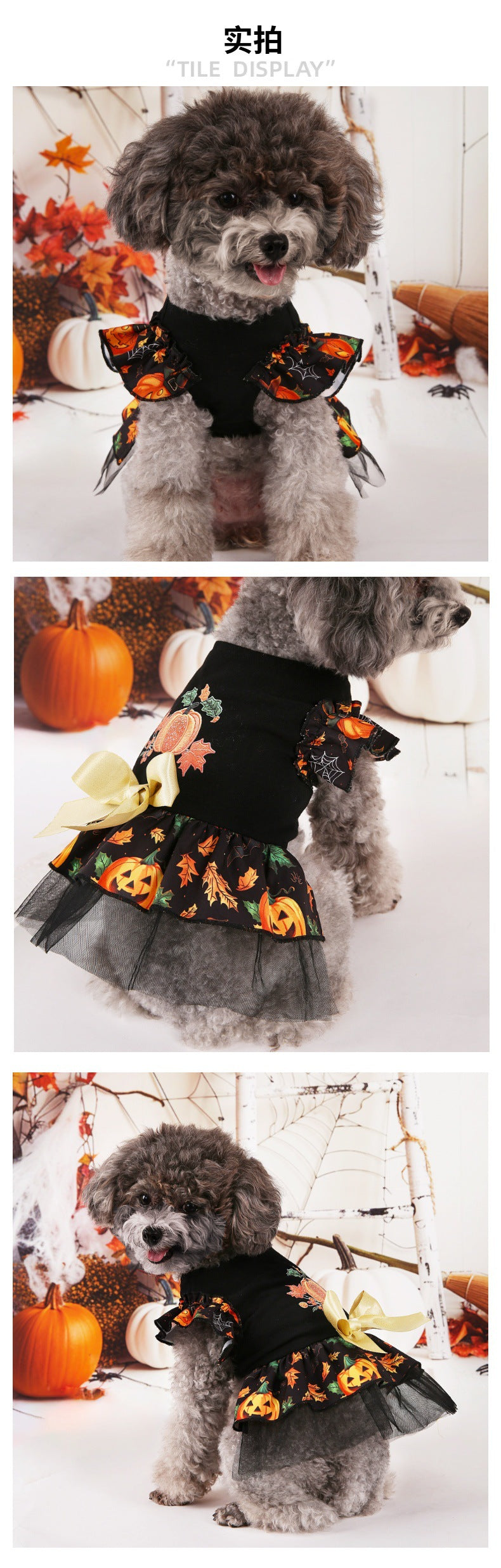 Adorable Halloween dog costumes featuring a festive pumpkin design and ruffled skirt for small dogs