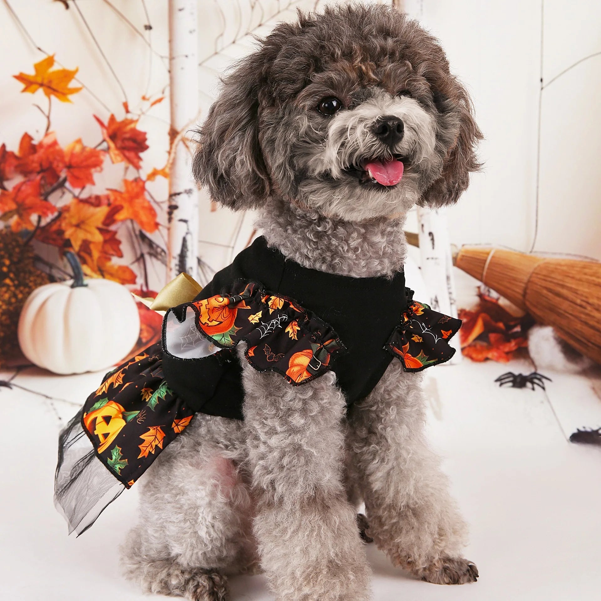 Adorable Halloween dog costumes featuring a fluffy dog in a festive outfit with pumpkins and autumn leaves